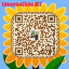 mmqrcode1655616584027.jpg